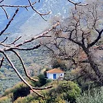 The Lookout
