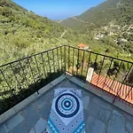 The Lookout