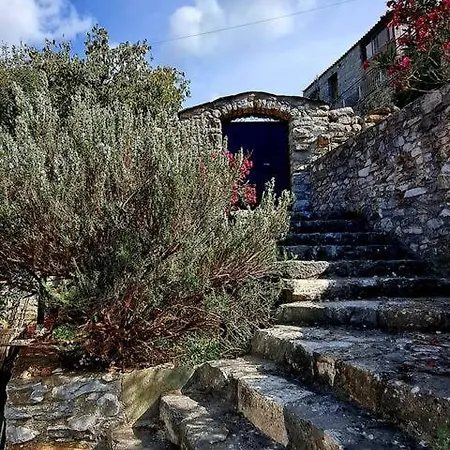 The Lookout * Plátsa