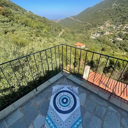 The Lookout