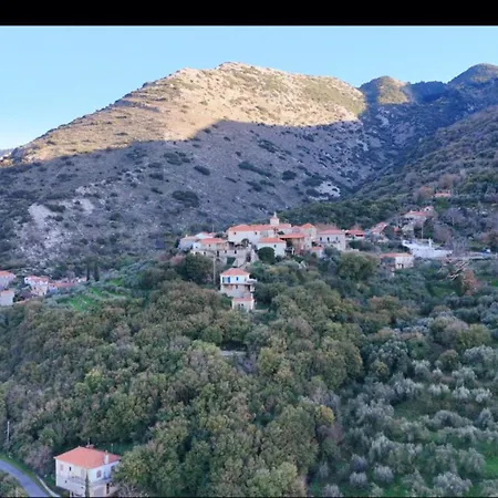 The Lookout * Plátsa